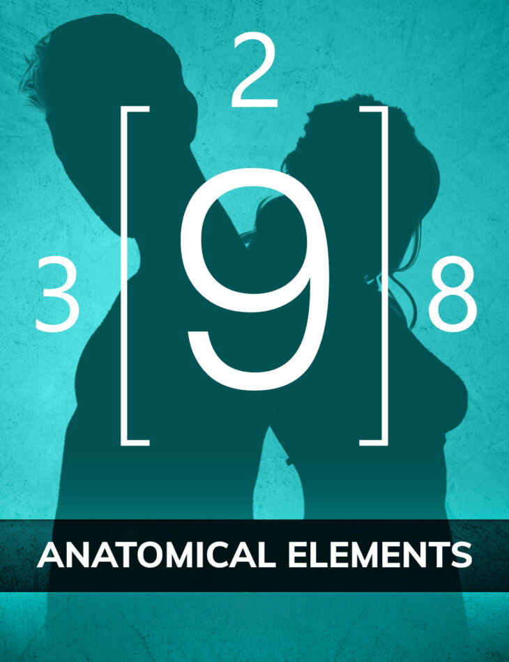 Genesis (2/3/8/9) Anatomical Elements Bundle_DAZ3D下载站