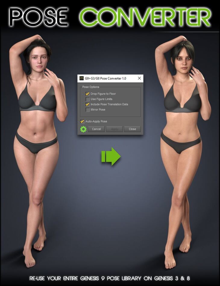 Genesis 9 to 3 and 8 Pose Converter_DAZ3DDL