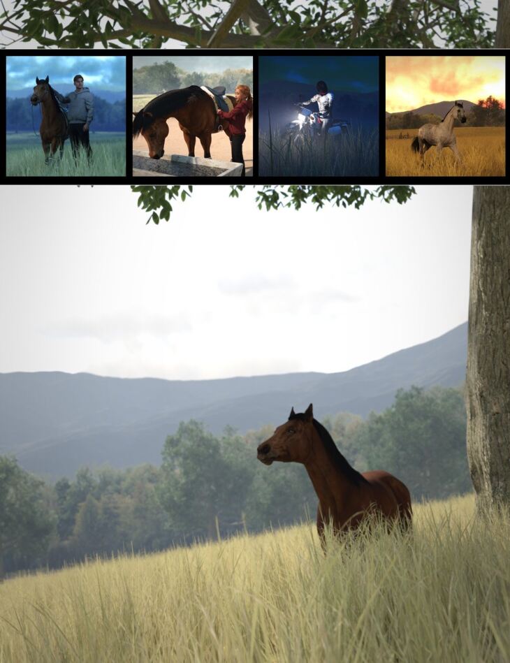 Iron Ridge Horse Pasture_DAZ3DDL