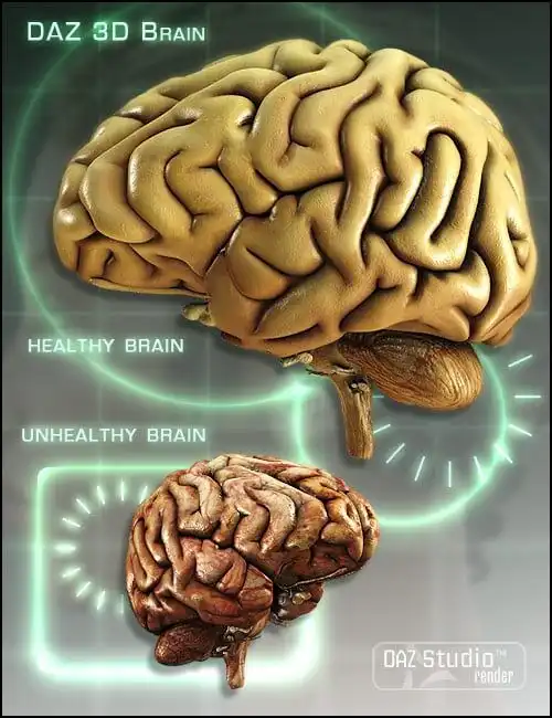 DAZ Brain_DAZ3DDL