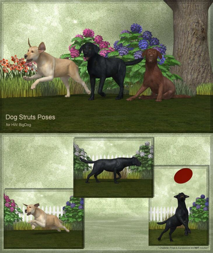 Dog Strut Poses for the Hivewire Big Dog (DS)_DAZ3D下载站