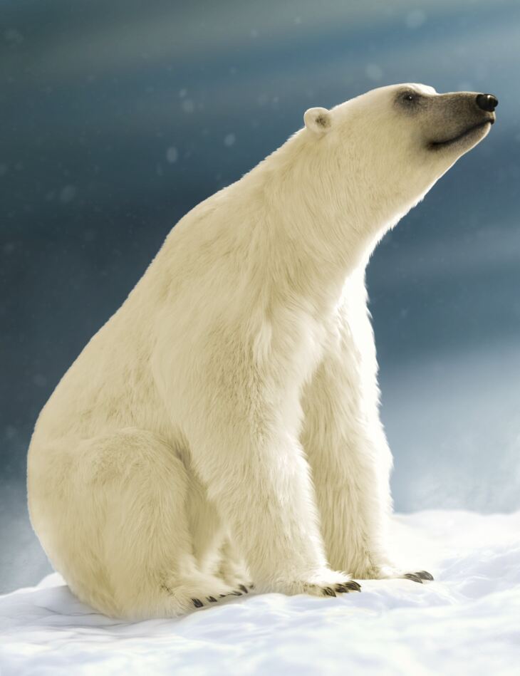 Polar Bear 2 by AM_DAZ3D下载站