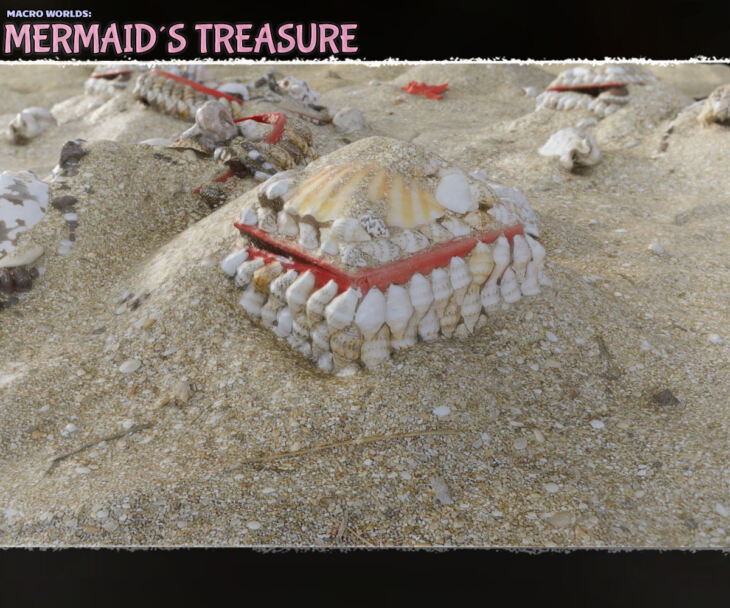 Macro Worlds: Mermaids Treasure_DAZ3D下载站