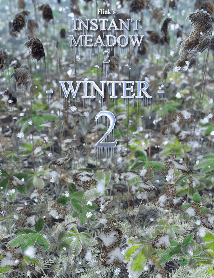 Flinks Instant Meadow 2 – Winter 2_DAZ3D下载站