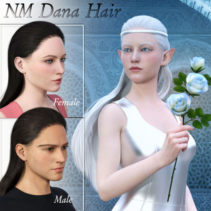 NM Dana Hair G8/G8.1_DAZ3D下载站