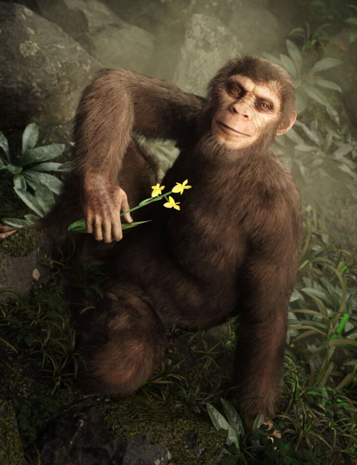 Ape World Chimpanzee for Genesis 9_DAZ3D下载站