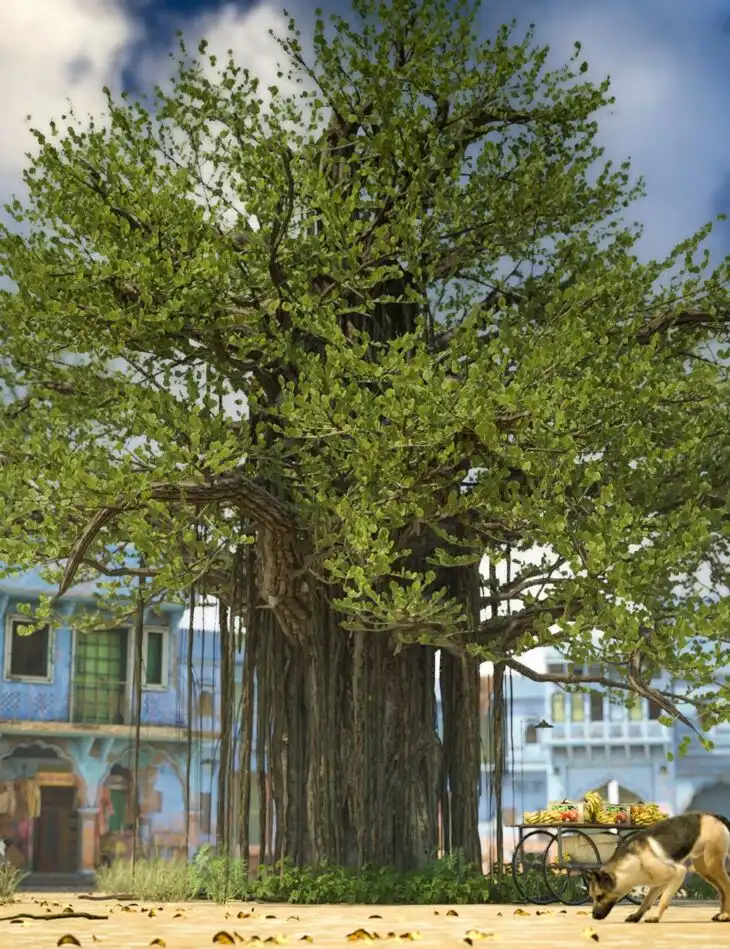 Banyan Trees – High Resolution Plants for Daz Studio_DAZ3D下载站