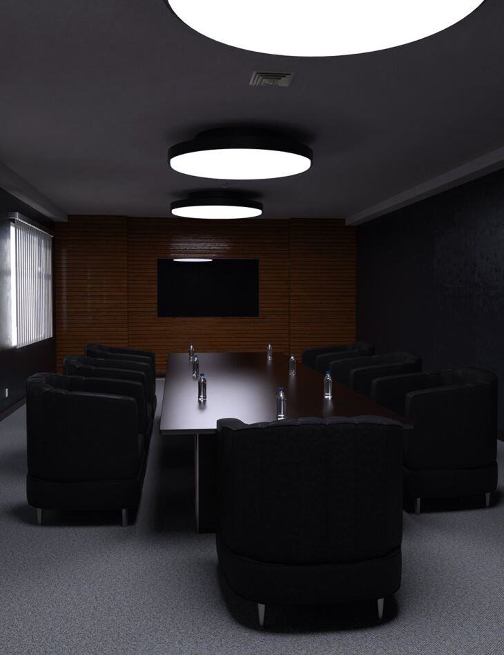 FH Company Meeting Room_DAZ3D下载站