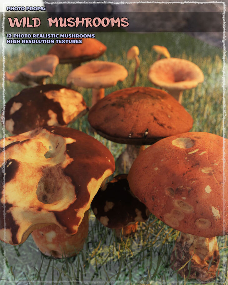 Photo Props: Wild Mushrooms_DAZ3D下载站