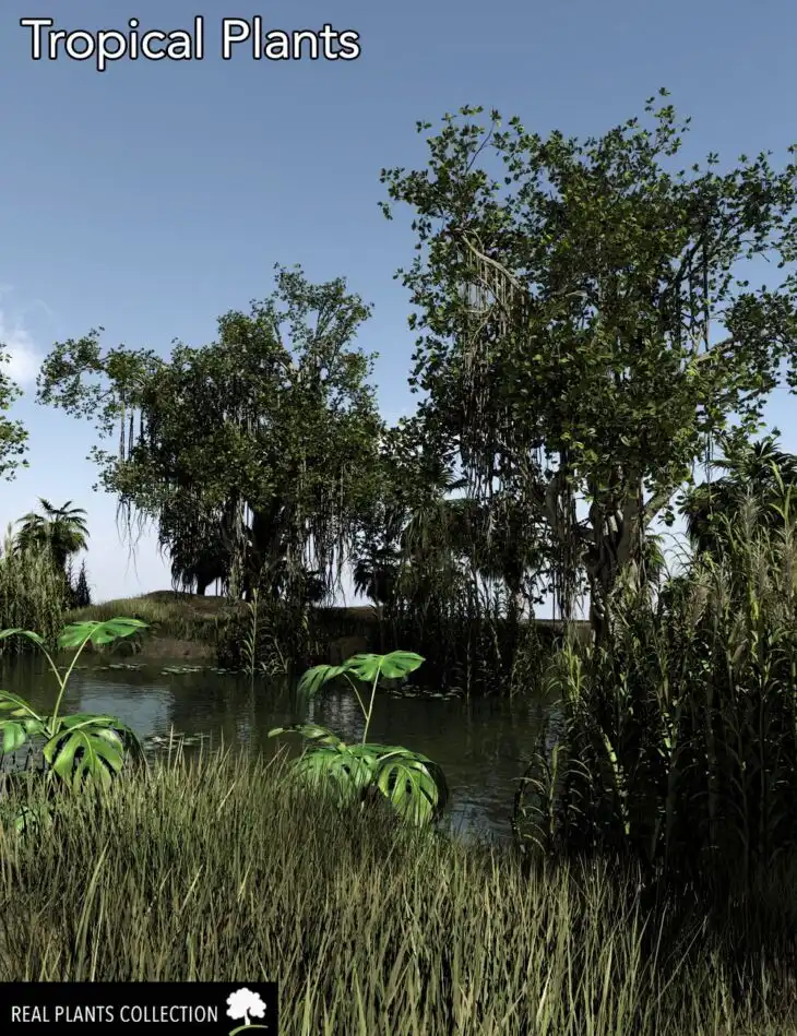 RPC Volume 3: Tropical Plants_DAZ3D下载站