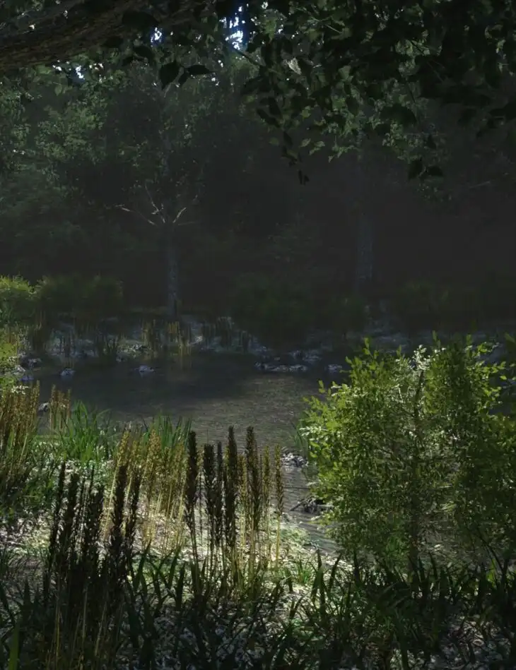 Flooded Terrain_DAZ3DDL