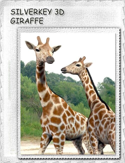 SilverKey 3D Giraffe_DAZ3D下载站