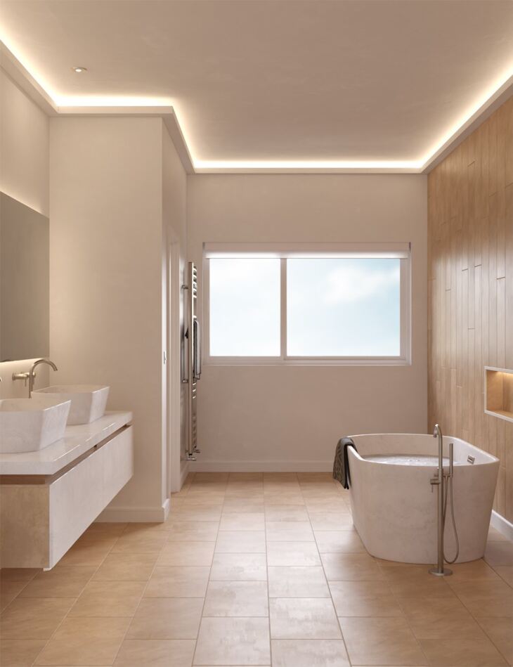 The Minimalist Home Bathroom_DAZ3D下载站