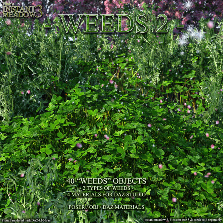 Flinks Instant Meadow 3 – Weeds 2_DAZ3D下载站