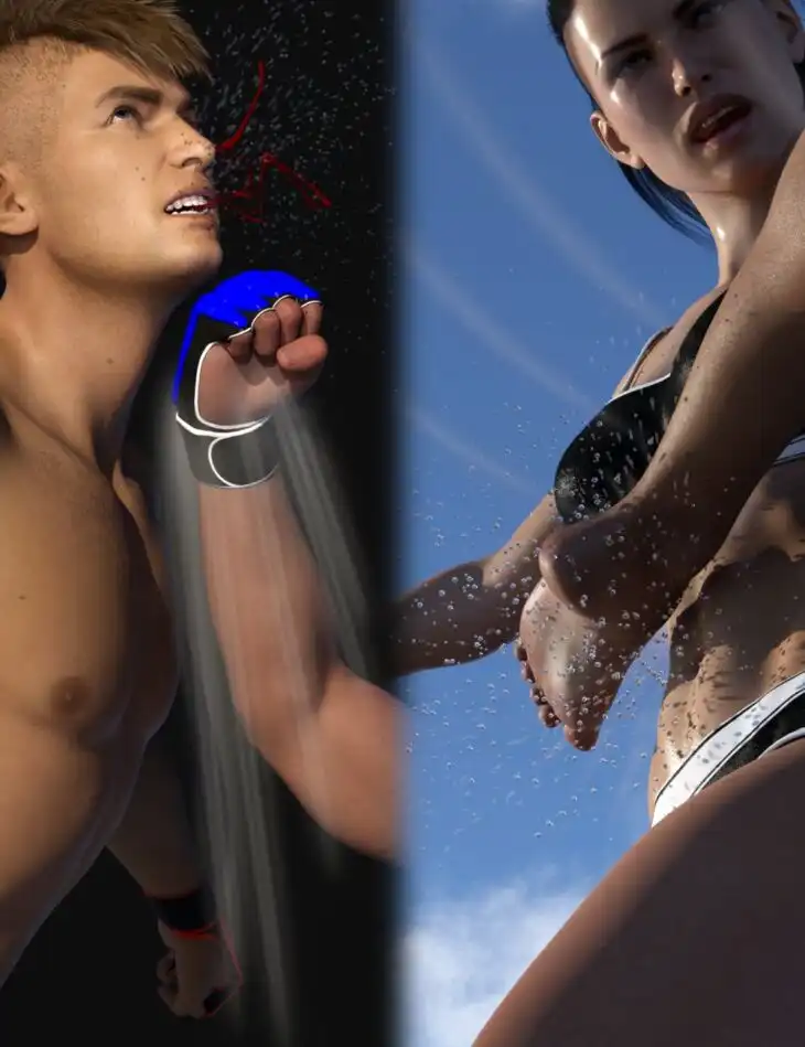 FM Fight Effects 3D_DAZ3D下载站