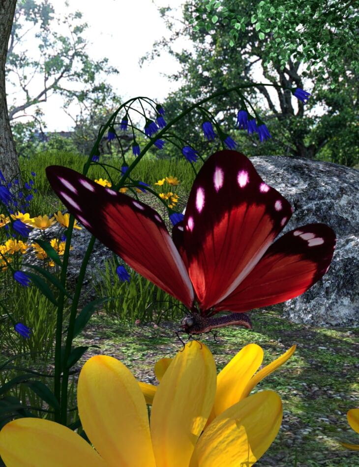 My Butterfly_DAZ3D下载站