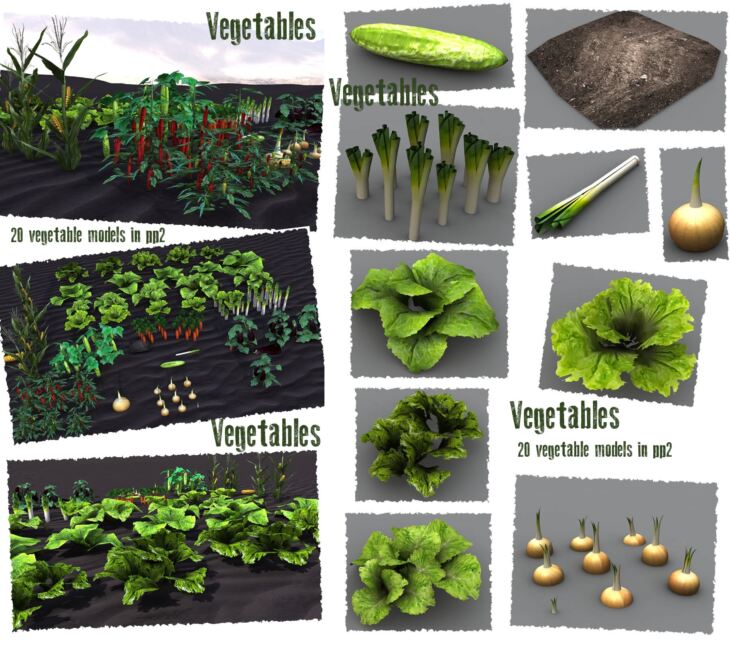 Vegetable Plants_DAZ3DDL