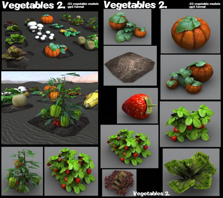 Vegetables 2_DAZ3D下载站
