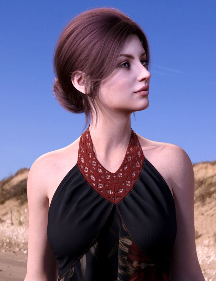 BS Updo Hair for Genesis 9, 8.1, and 8 Female_DAZ3DDL