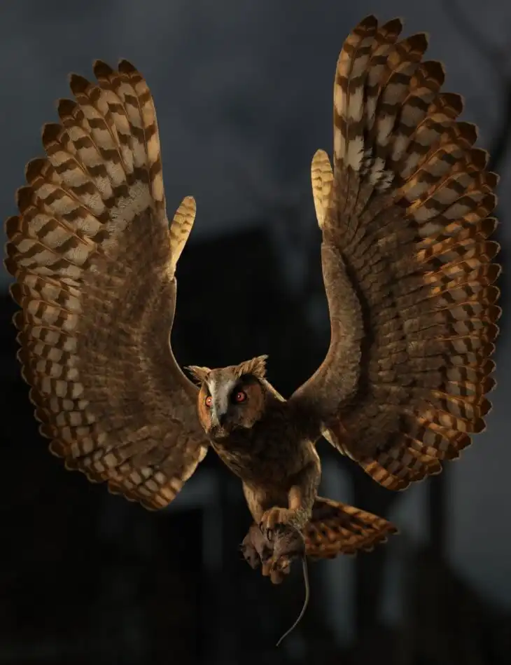 DS Fantasy Owl Species_DAZ3DDL