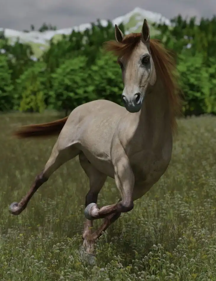 DS Horse for Daz Horse 3_DAZ3DDL