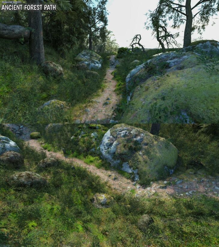 Modular 3D Kits: Ancient Forest Path_DAZ3D下载站