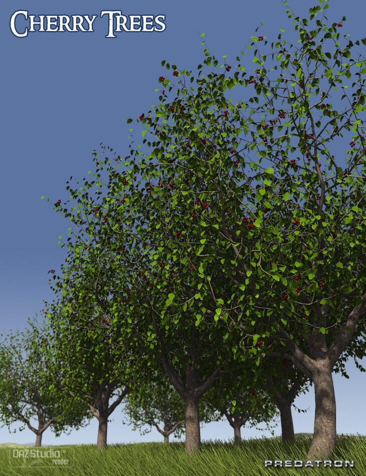 Predatron Cherry Trees_DAZ3DDL