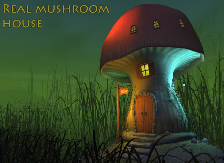 Real mushroom house_DAZ3D下载站