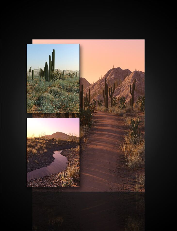 Desert Botanica – Bundle_DAZ3D下载站