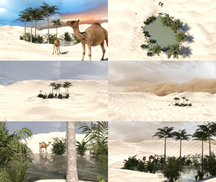 Desert Oasis for DAZ_DAZ3DDL