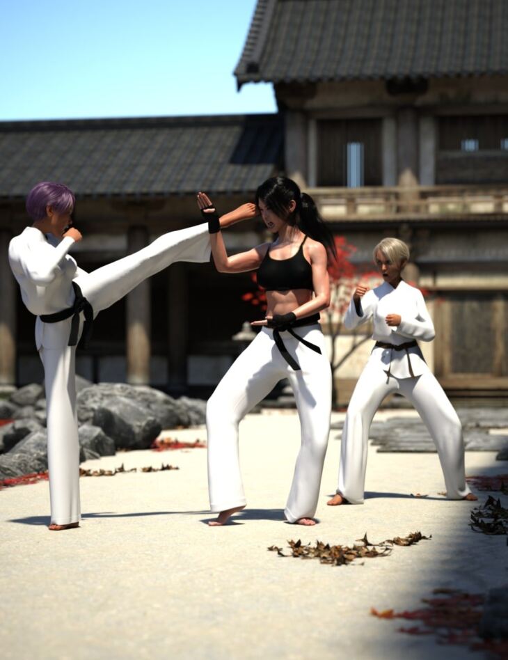 Kyokushin Karate Pose Pack for Genesis 8_DAZ3D下载站