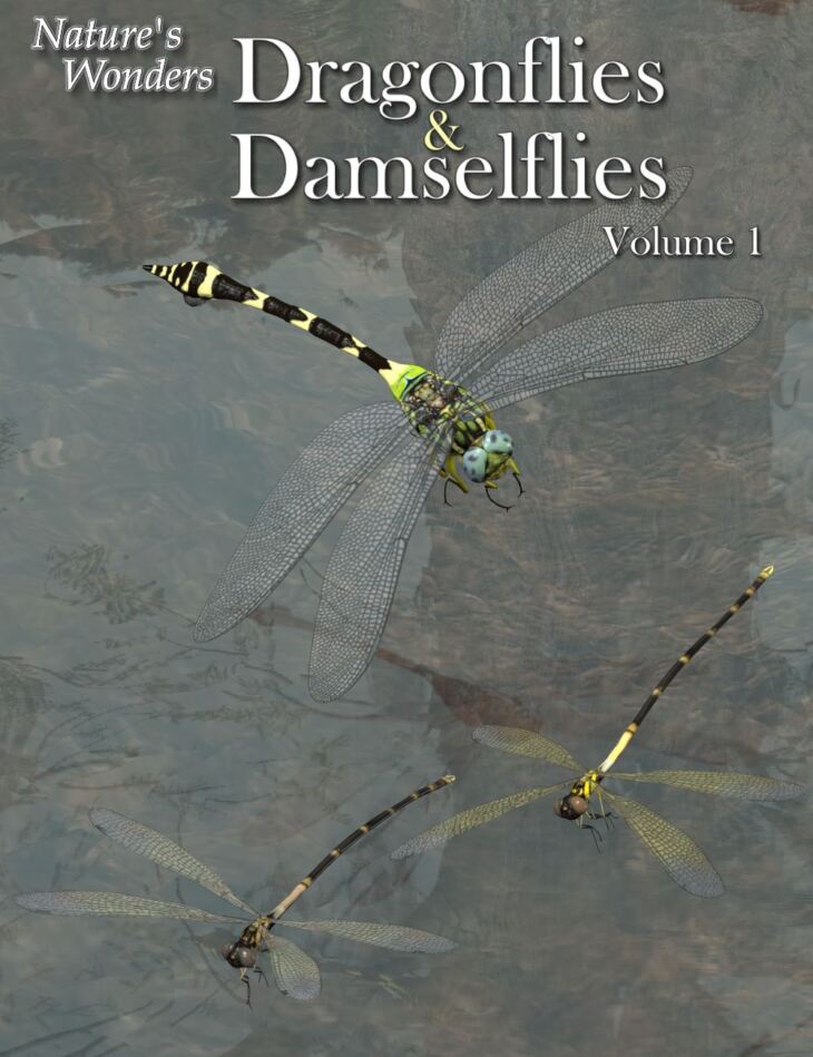 Nature’s Wonders Dragonflies & Damselflies of the World Vol. 1_DAZ3D下载站
