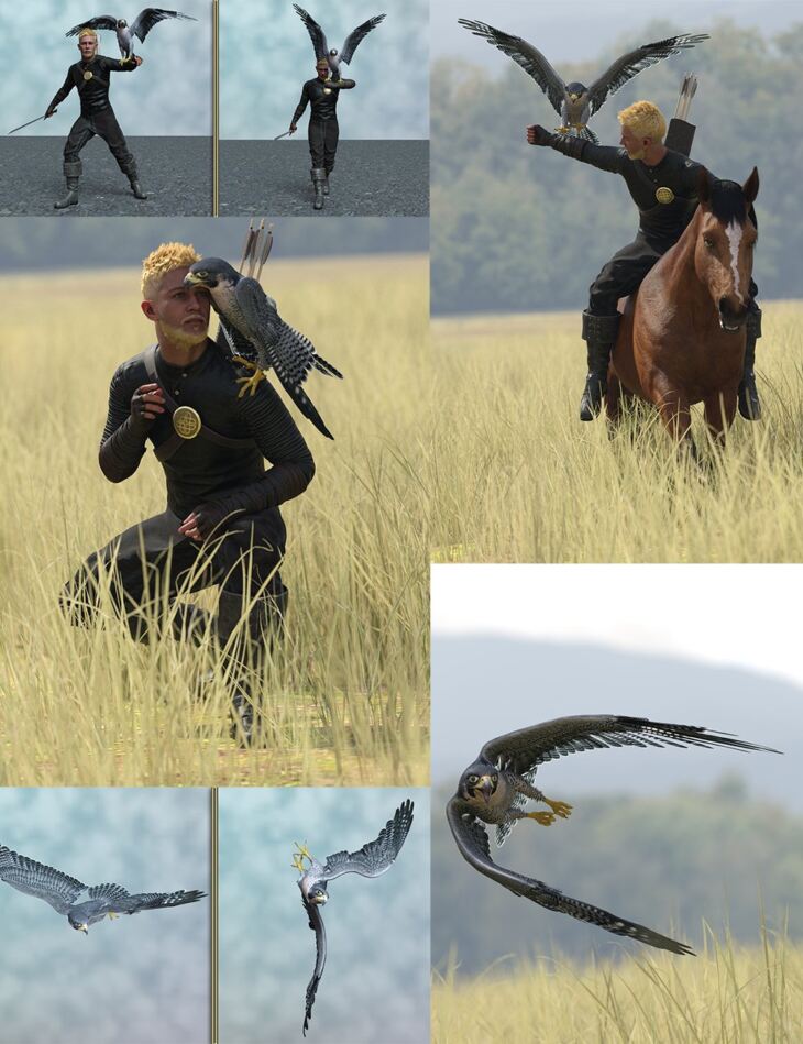 Falconry Bundle_DAZ3D下载站