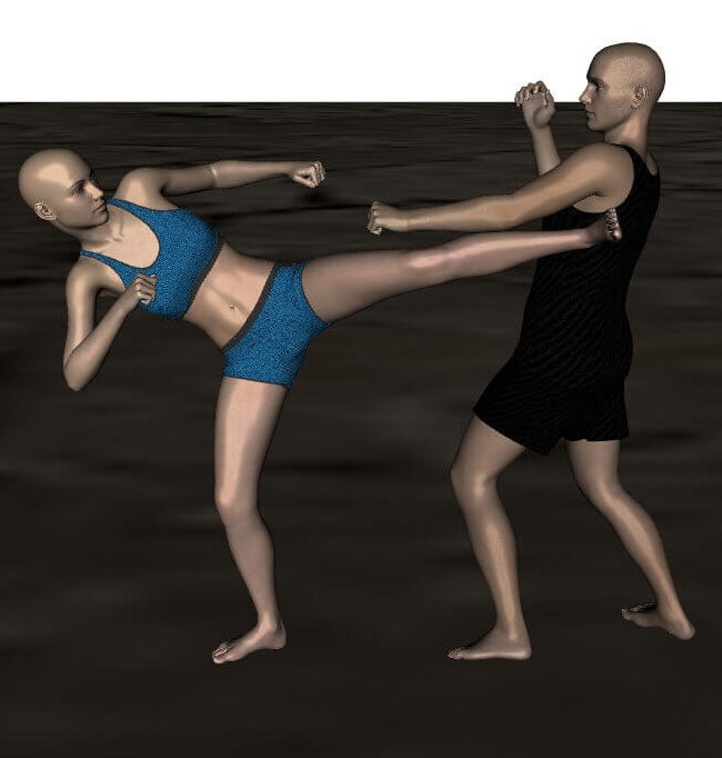 Fighting AniBlocks For Genesis 8 Male and Female_DAZ3D下载站