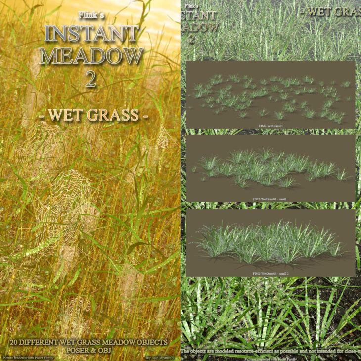 Flinks Instant Meadow 2 – Wet Grass_DAZ3D下载站