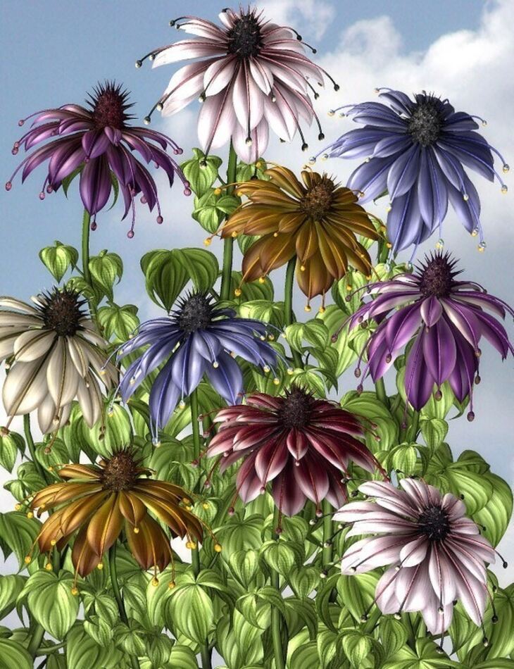Lisa’s Botanicals – Faerie Flower II_DAZ3D下载站