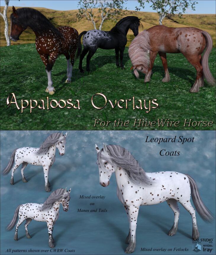 Appaloosa Overlays for the HiveWire Horse_DAZ3D下载站