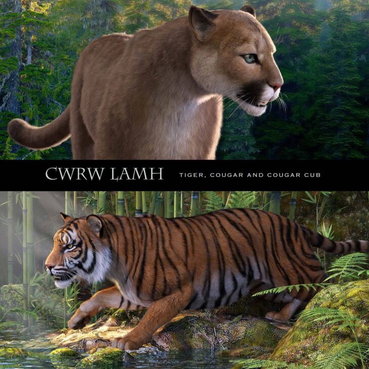CWRW LAMH: Tiger & Cougar Presets_DAZ3D下载站