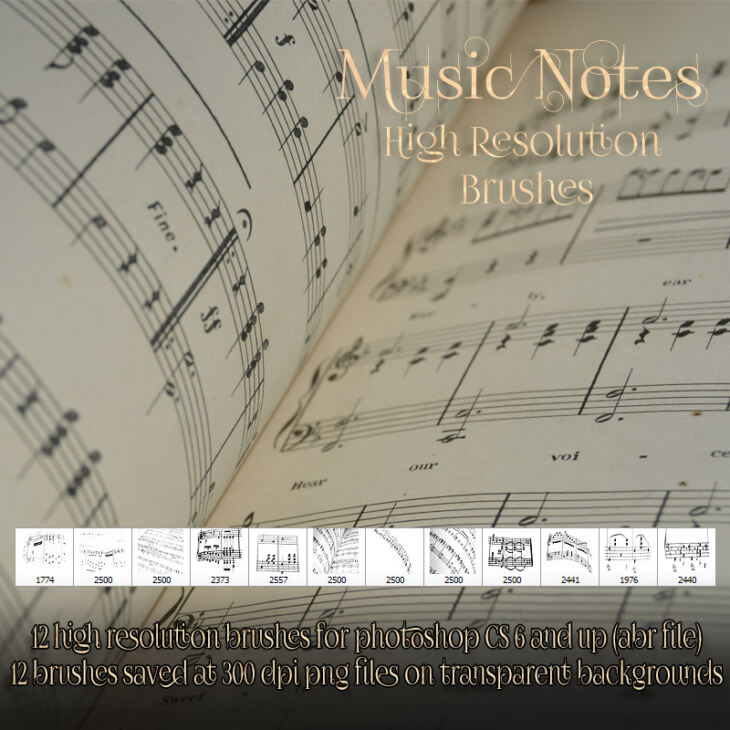 Music Notes Brushes_DAZ3D下载站