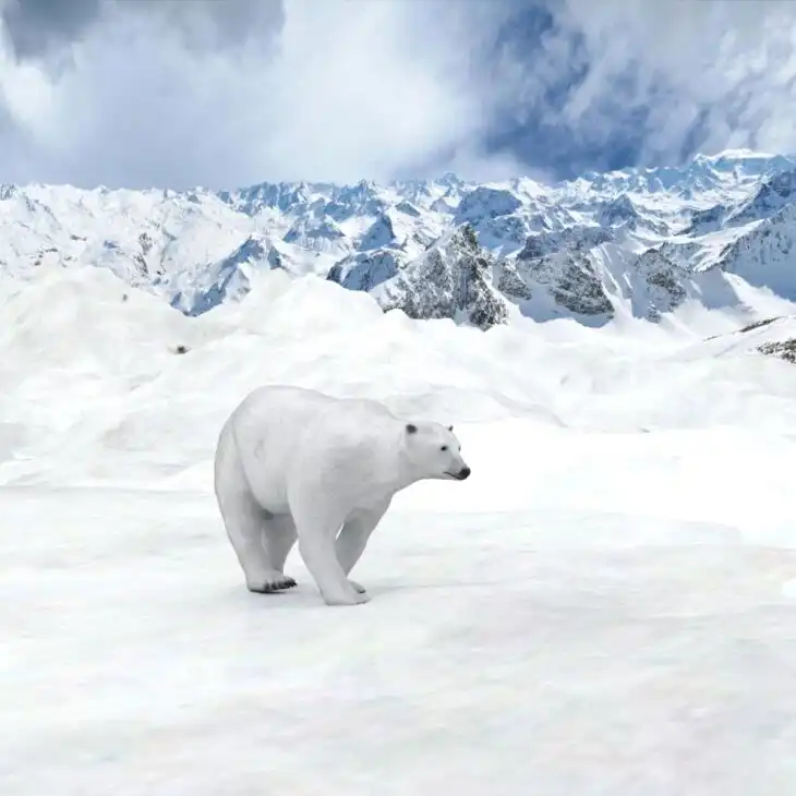 Snow Terrain for DAZ_DAZ3D下载站