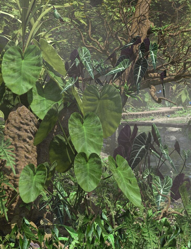 Tropical Alocasia Plants – Tropical Jungle and Container Plants_DAZ3D下载站