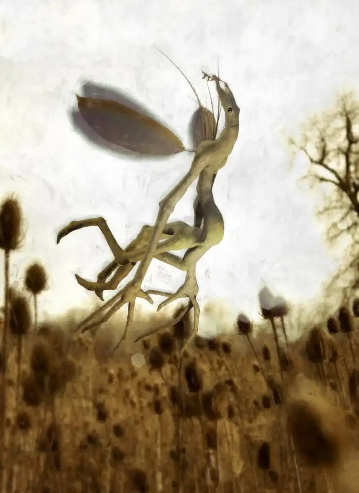 Twiglet Wood Spirit_DAZ3DDL