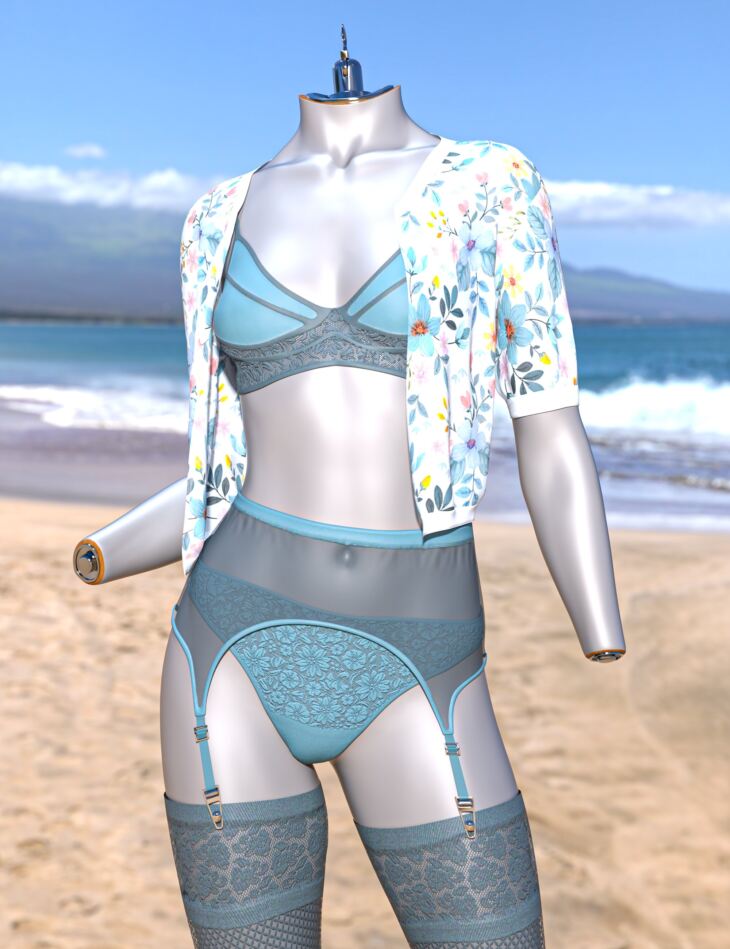 AH dForce Irina Lingerie Outfit For Genesis 9_DAZ3D下载站