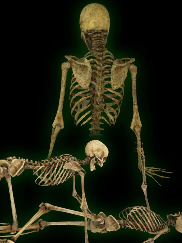 FB Old Bones Poses For V4_DAZ3D下载站