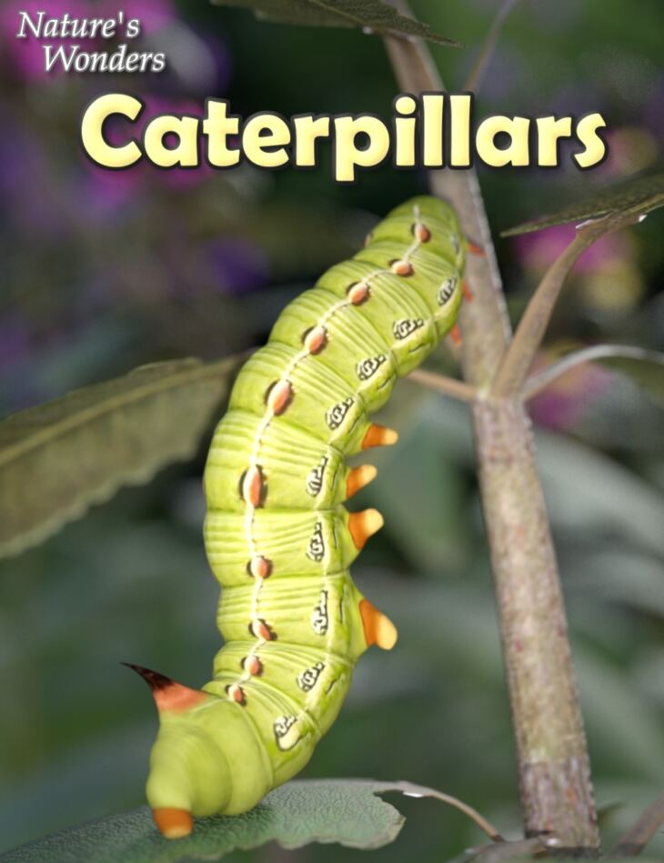 Nature’s Wonders Caterpillars_DAZ3DDL