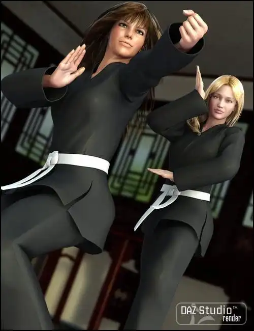 V4 Martial Arts Poses_DAZ3D下载站
