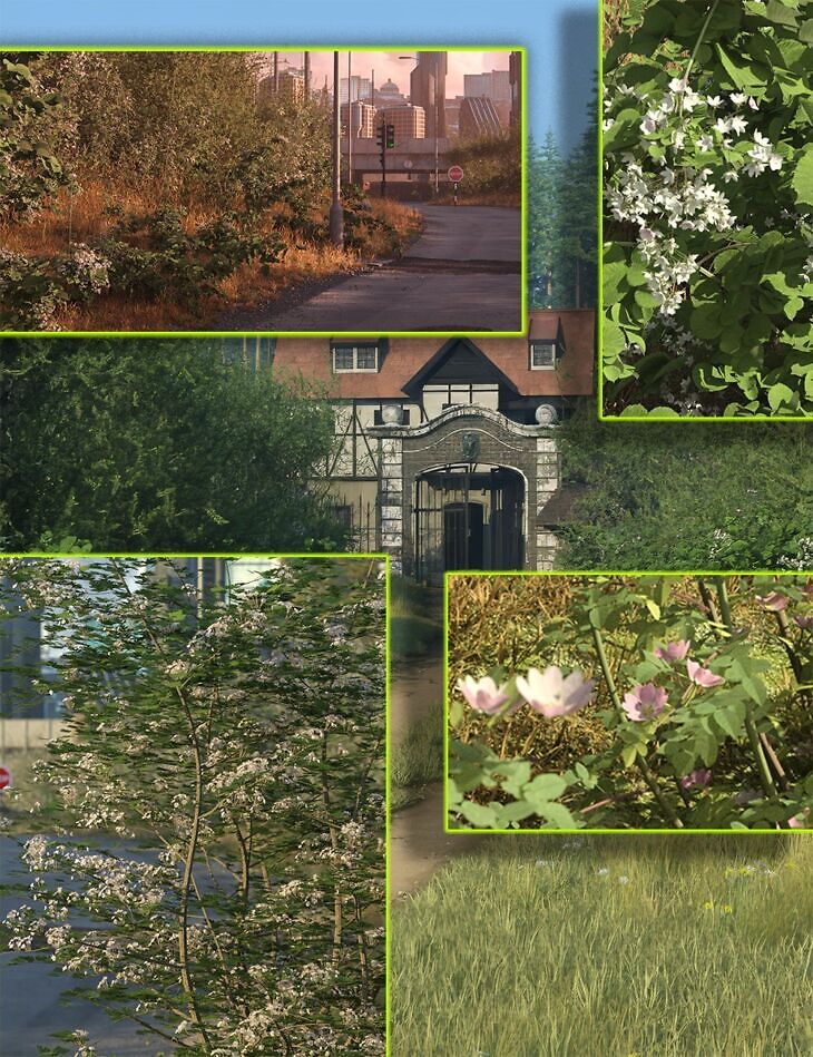 Hedgerow Kit Bundle_DAZ3DDL