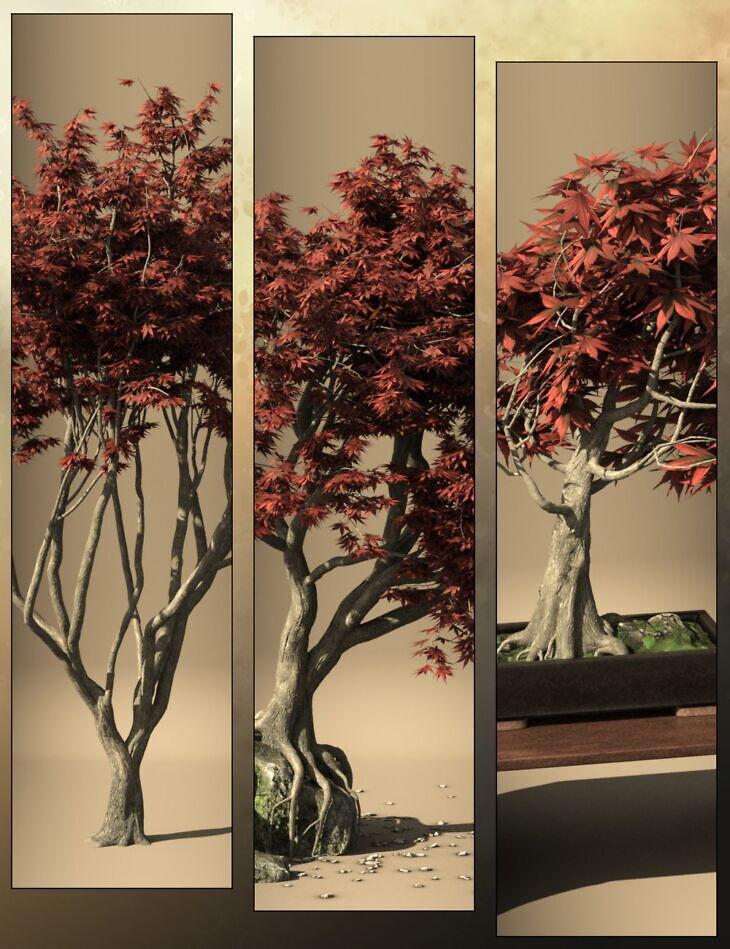 V176 Maple Trees_DAZ3DDL