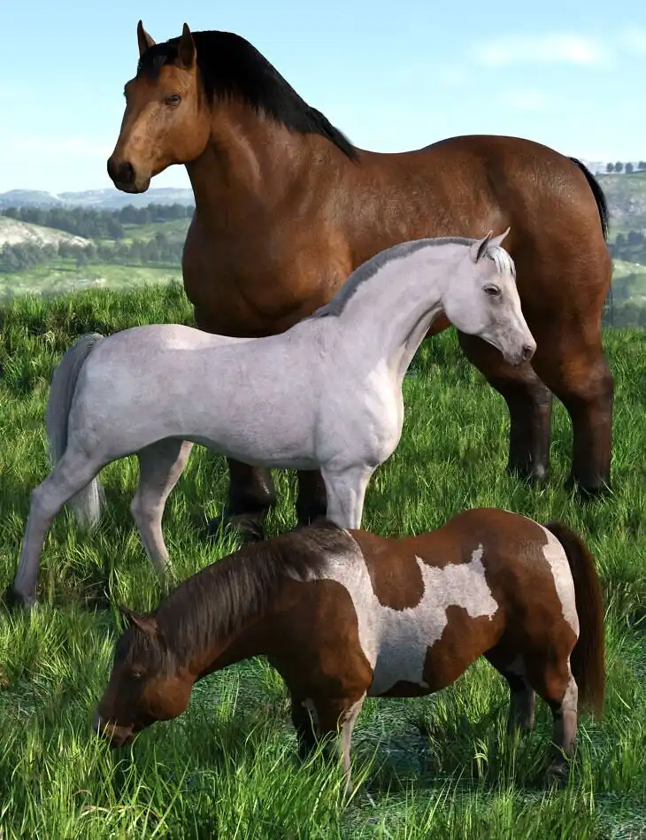 Phenotypes for DAZ Horse 3_DAZ3DDL