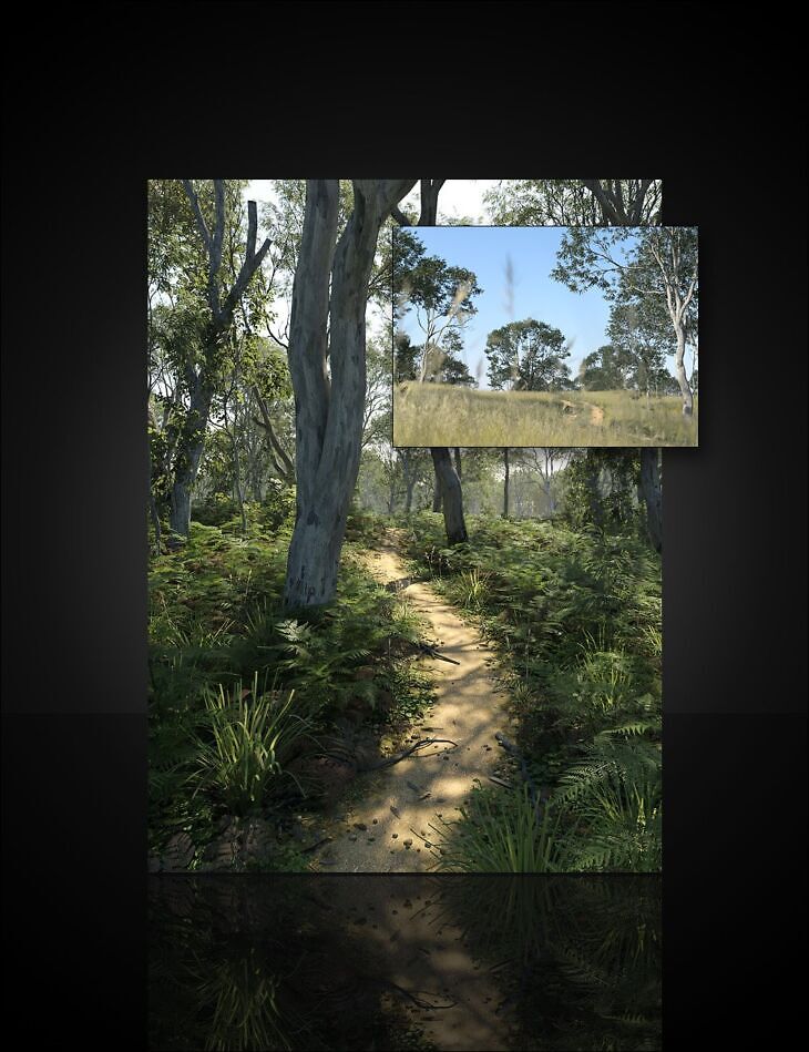 UltraScenery2 – Australia_DAZ3DDL